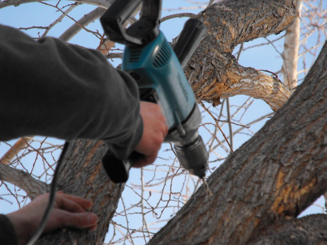 Installing-Tree-Cable