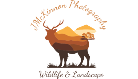 JMcKinnon Photography