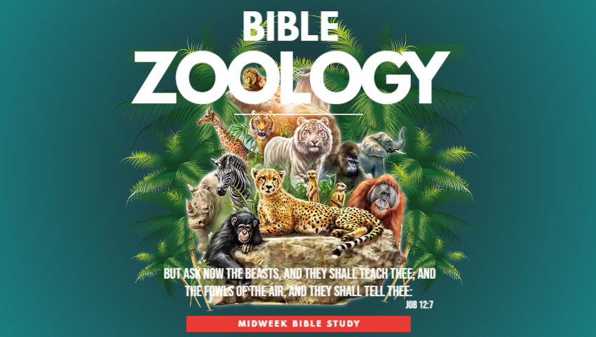 https://0901.nccdn.net/4_2/000/000/000/7fa/bible-zoology.jpg