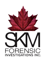 https://0901.nccdn.net/4_2/000/000/000/fe9/skm-logo.png