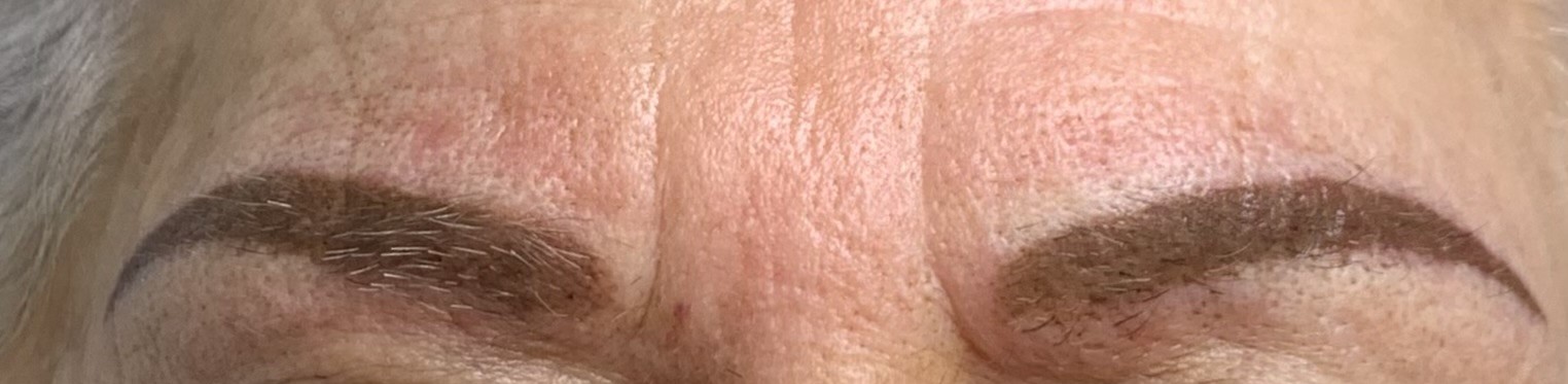 Portfolio of eyebrows, eyeliners and lips