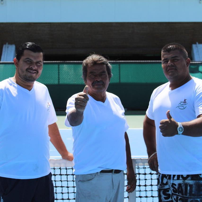 Stylish interior with a large bookcase