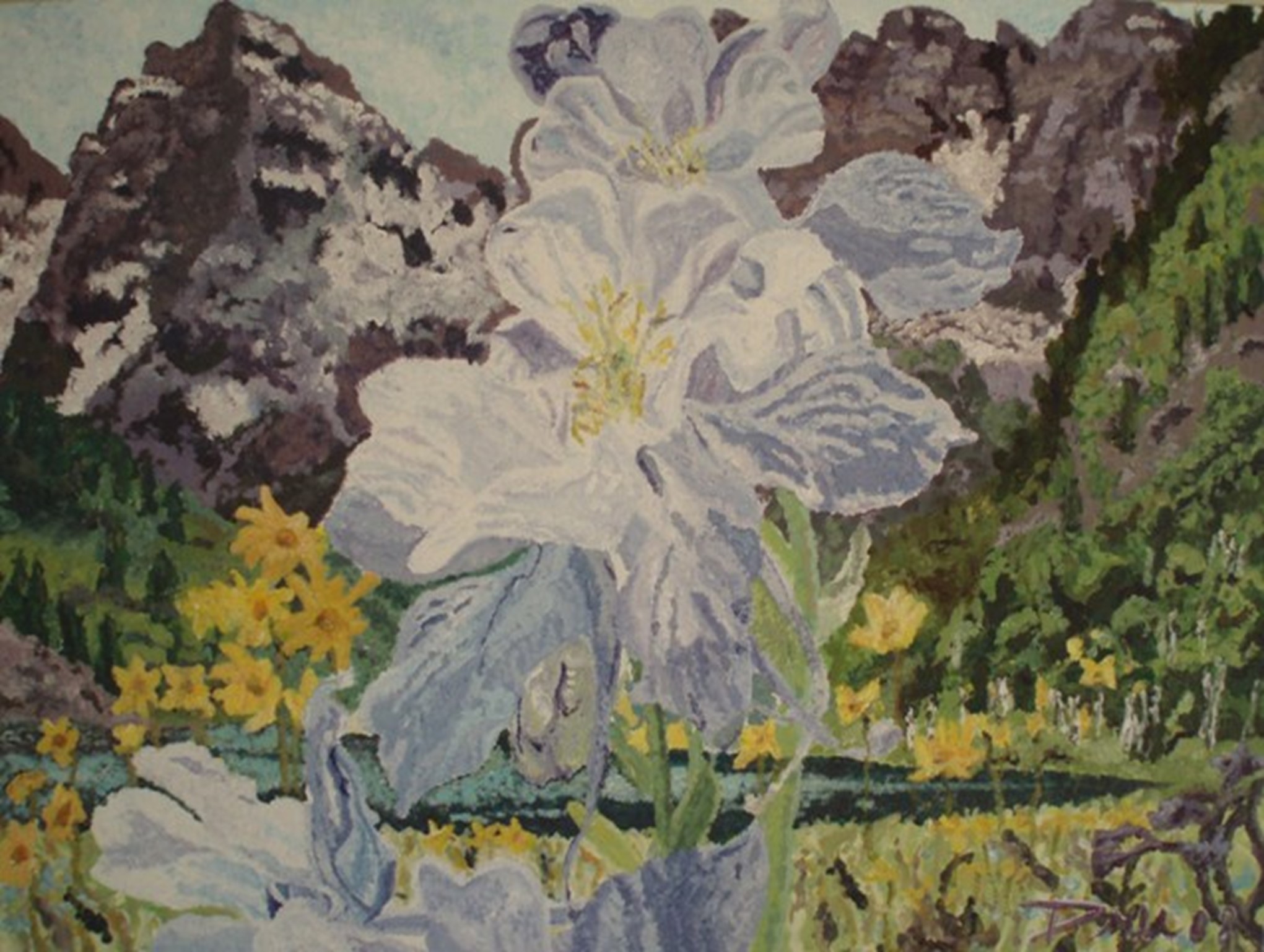  Columbine and the Maroon Bells, 18”X24, 2008, Colorado.