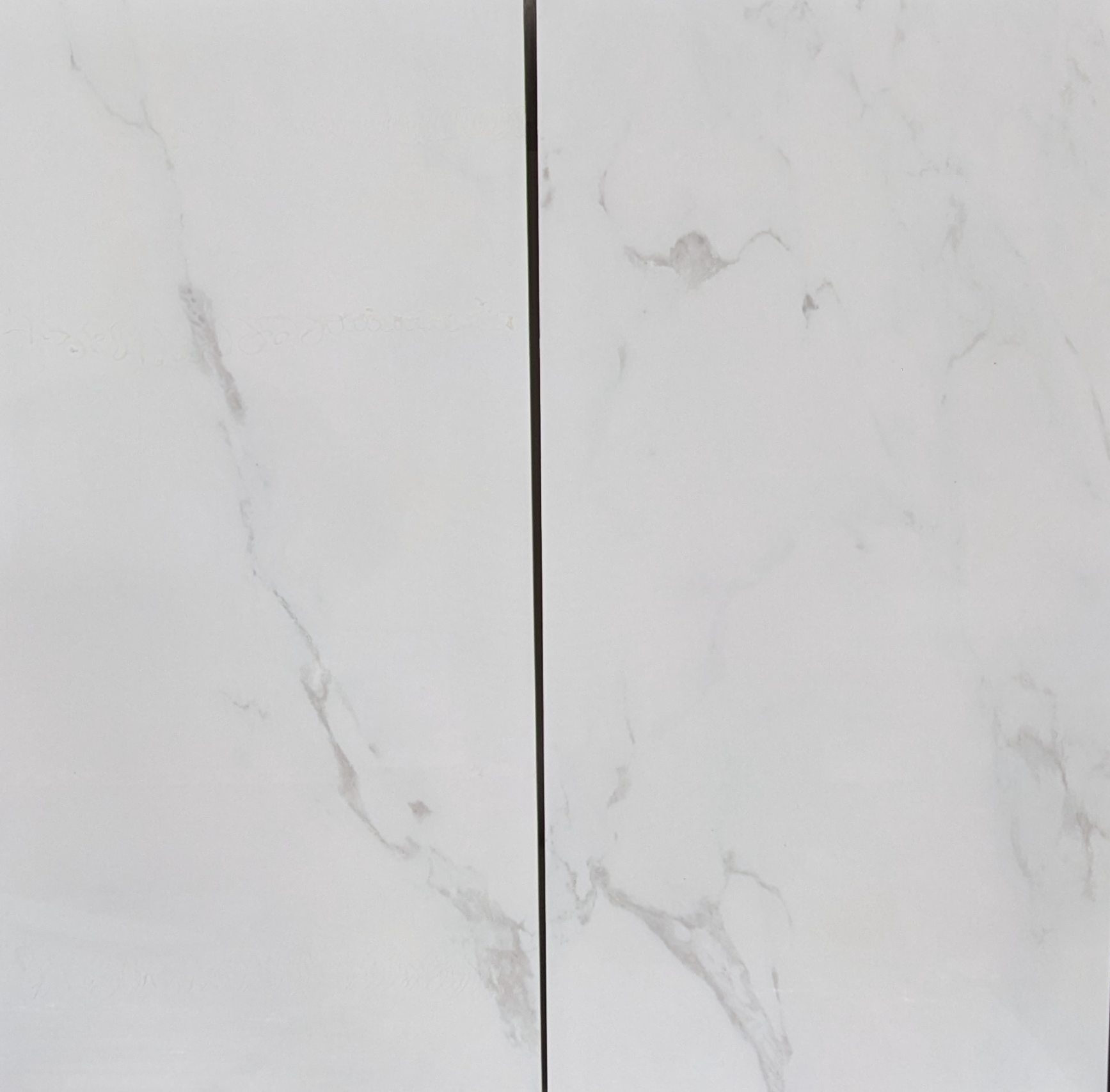 Bianco Gioia Venato 12" x 24" polished