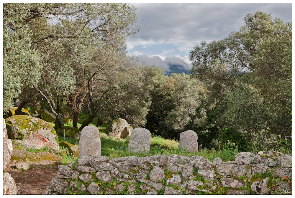Filitosa en Corse et 
ses statues-menhirs 
dans un paysage 
d'oliviers 
multiséculaires - Avri 
2010
