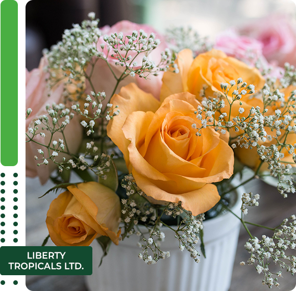 Roses on wooden desk