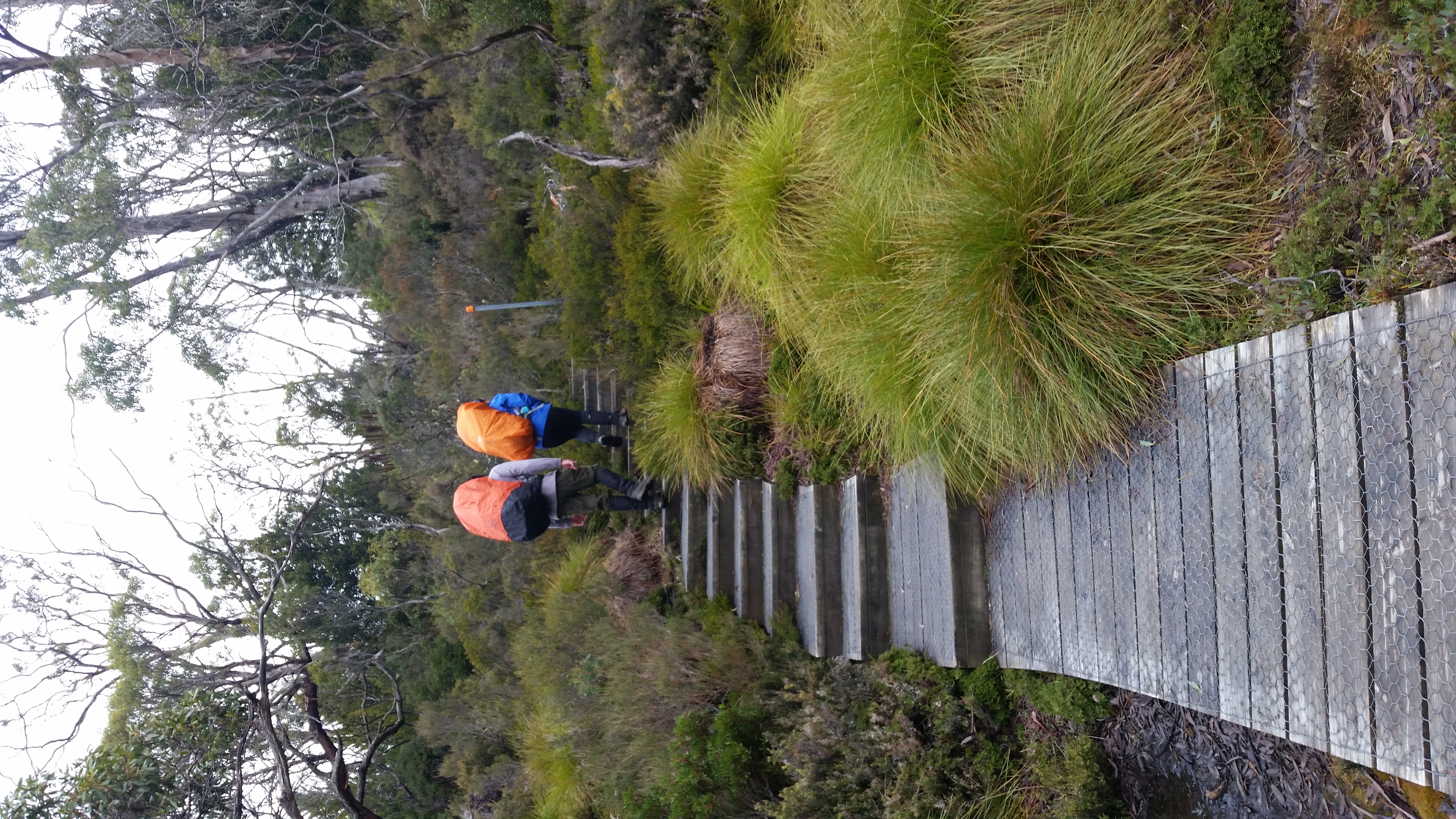Just Trekking