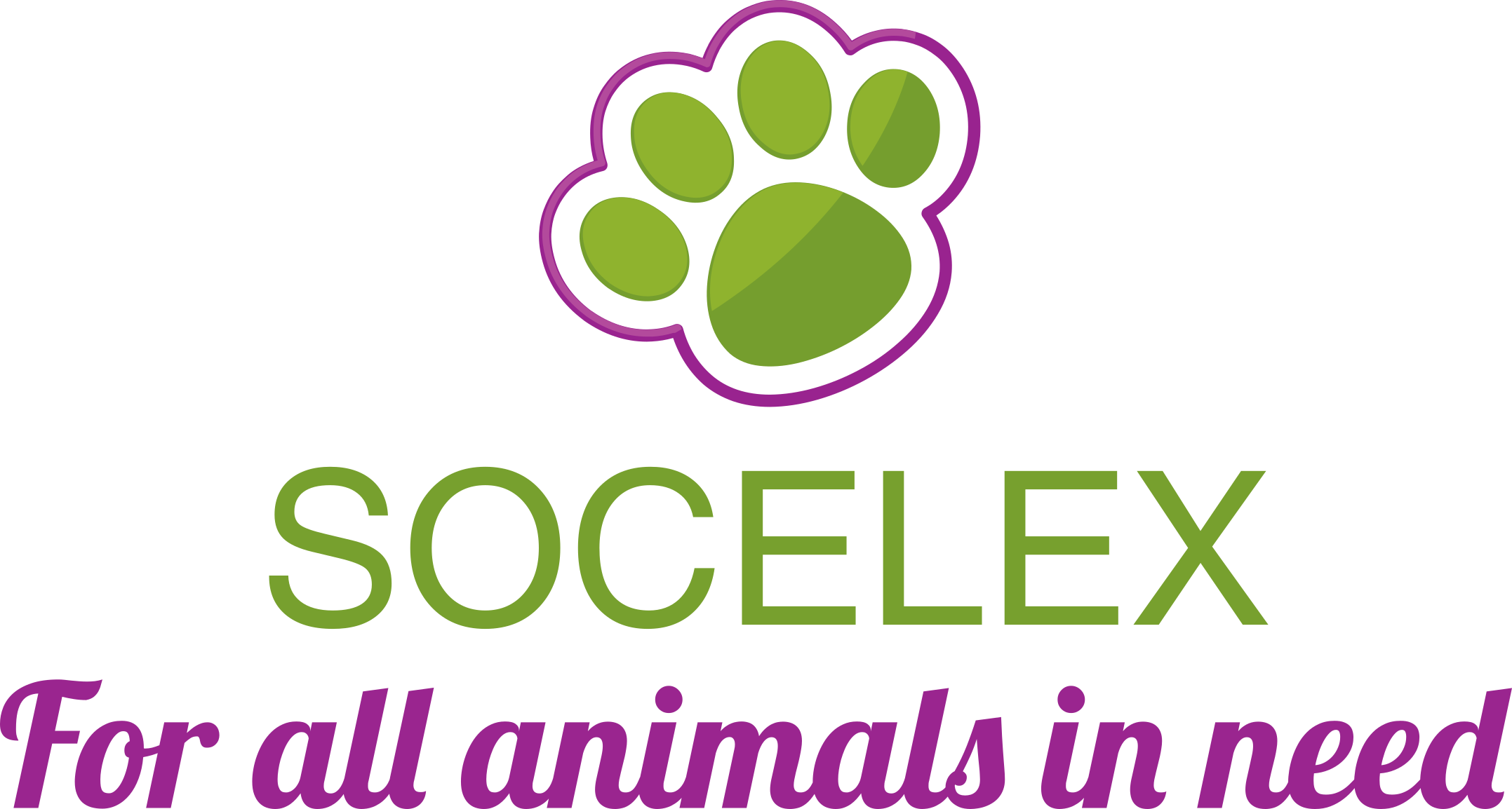 Go to site home page