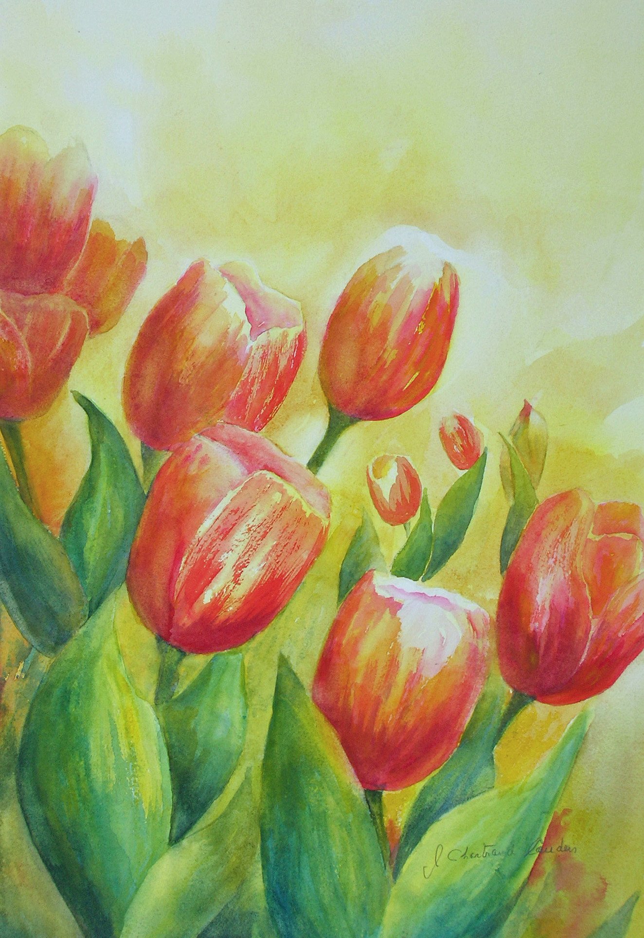 Les tulipes
aquarelle 18" x 12"