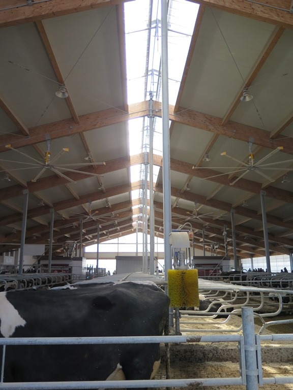 2014 Napierville -  Robot dairy barn