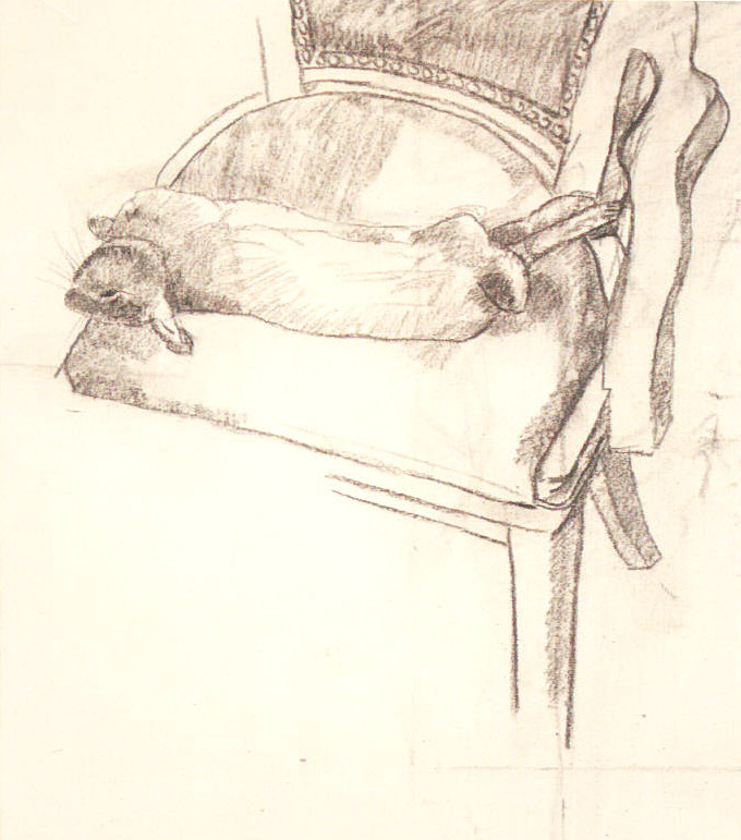 Cottontail Still life, 2001, charcoal on canvas