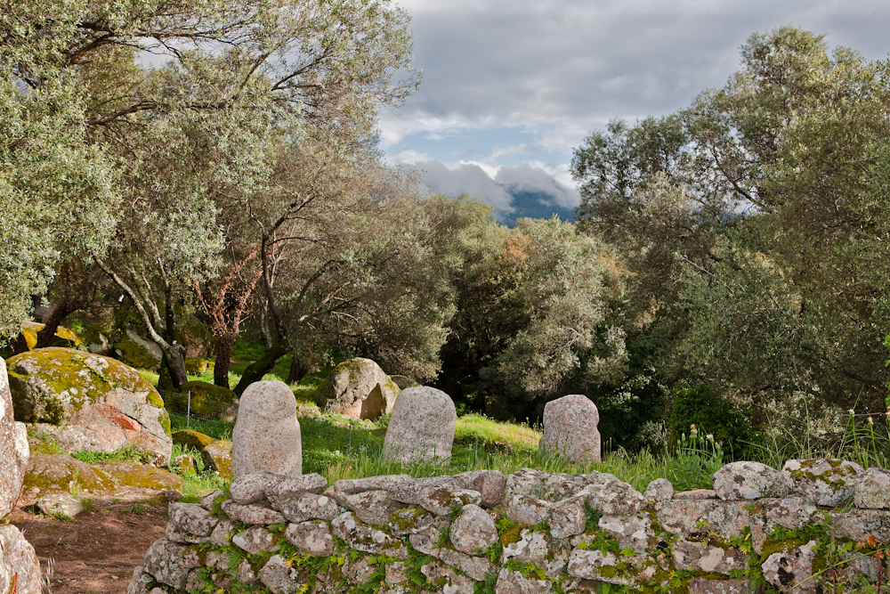 Filitosa et ses 
statues-menhirs dans 
un paysage d'oliviers 
multiséculaires - Avril 2010