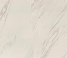 Calacatta 12" x 24" polished