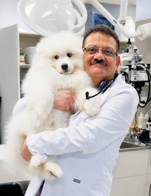 Dr. Williams holding a dog