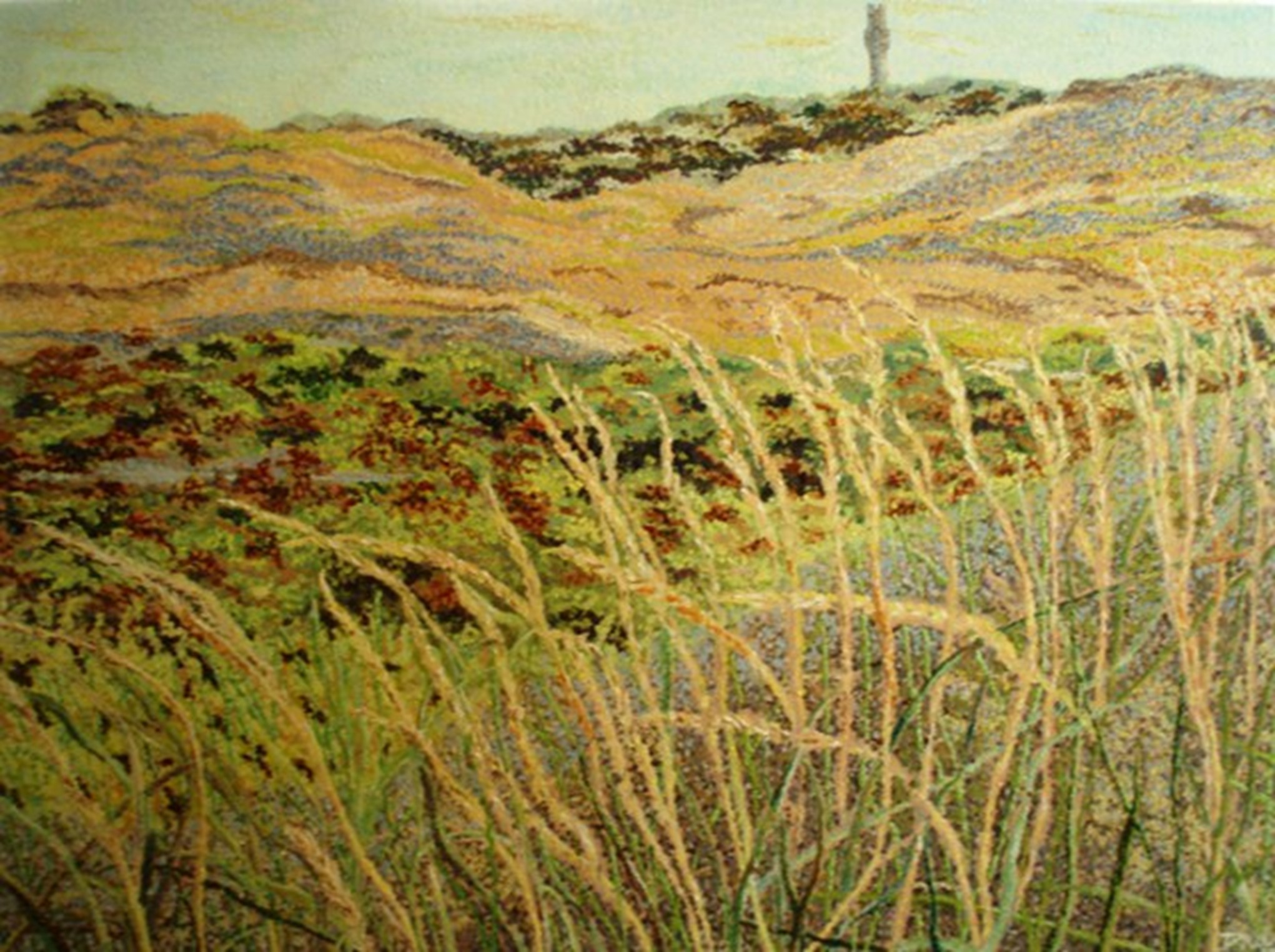 Provincetown Dunes Op.1, 30" X 40", 2009, Acrylic on Canvas