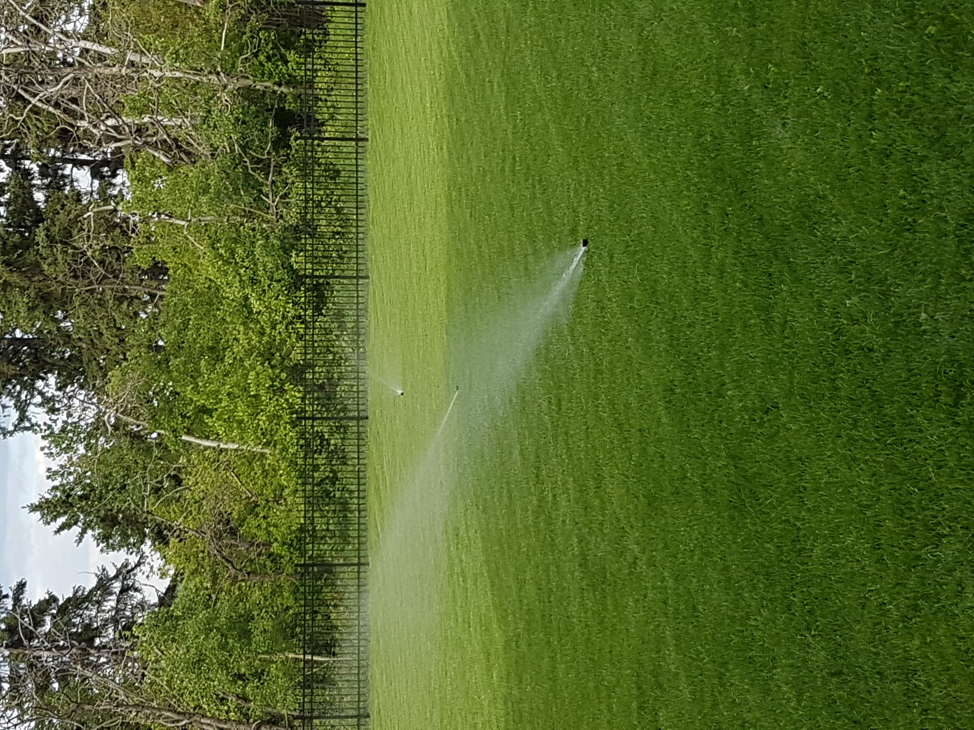 https://0901.nccdn.net/4_2/000/000/008/486/sprinkler.jpeg
