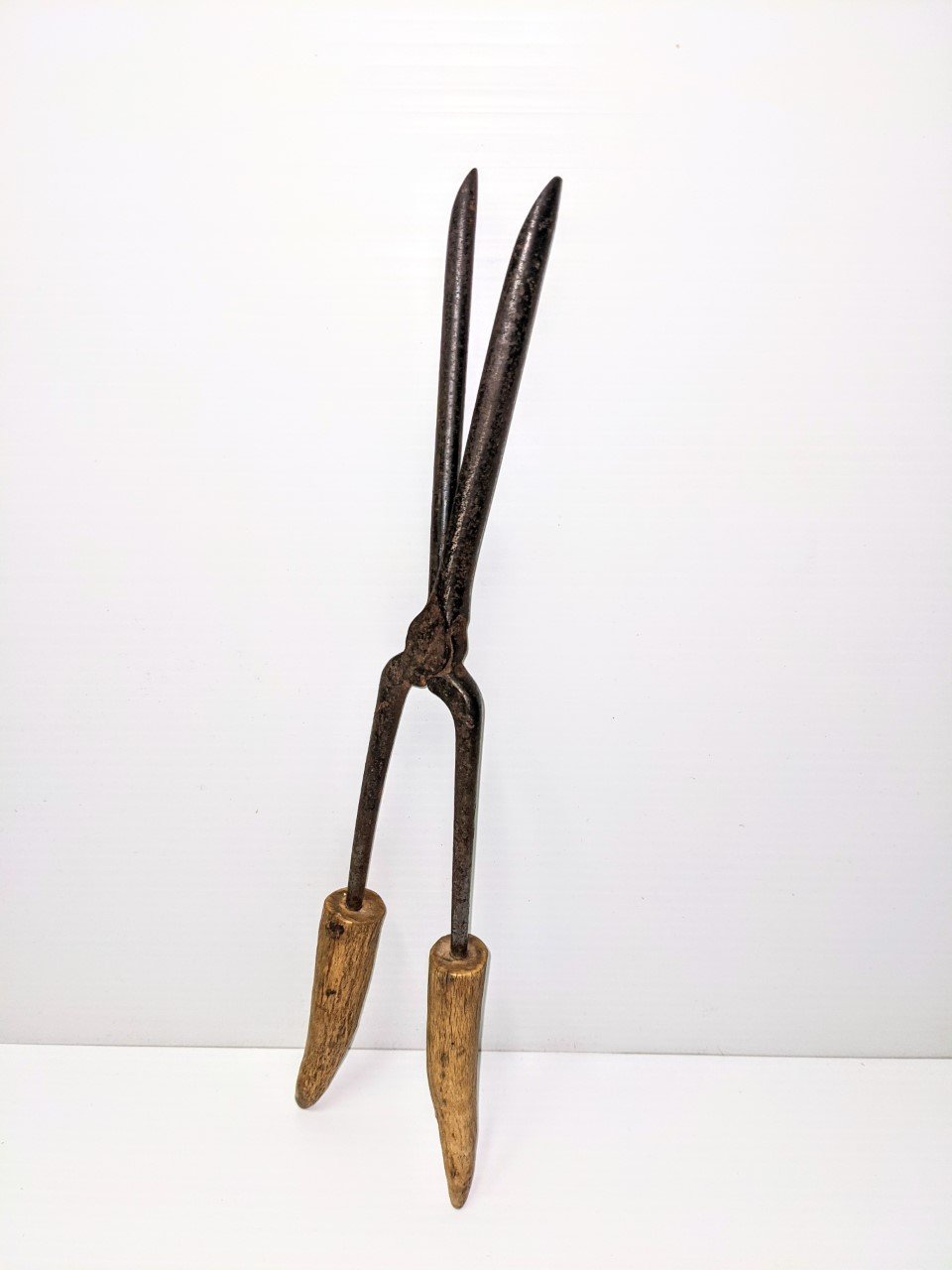 This unique looking object is a Curling Iron. It has a very small barrel for making tight curls and the handles are made from tips of antler. To heat the curling iron, one would place it near the fire or on a cook stove to heat the metal barrel up before rolling it in the hair. This curler was found in one of the trunks that was inside the "Clarke house" when the structure was purchased from Vera and Currie Ward!

01/03/2021
994.3.14 / Ward, Currie and Vera