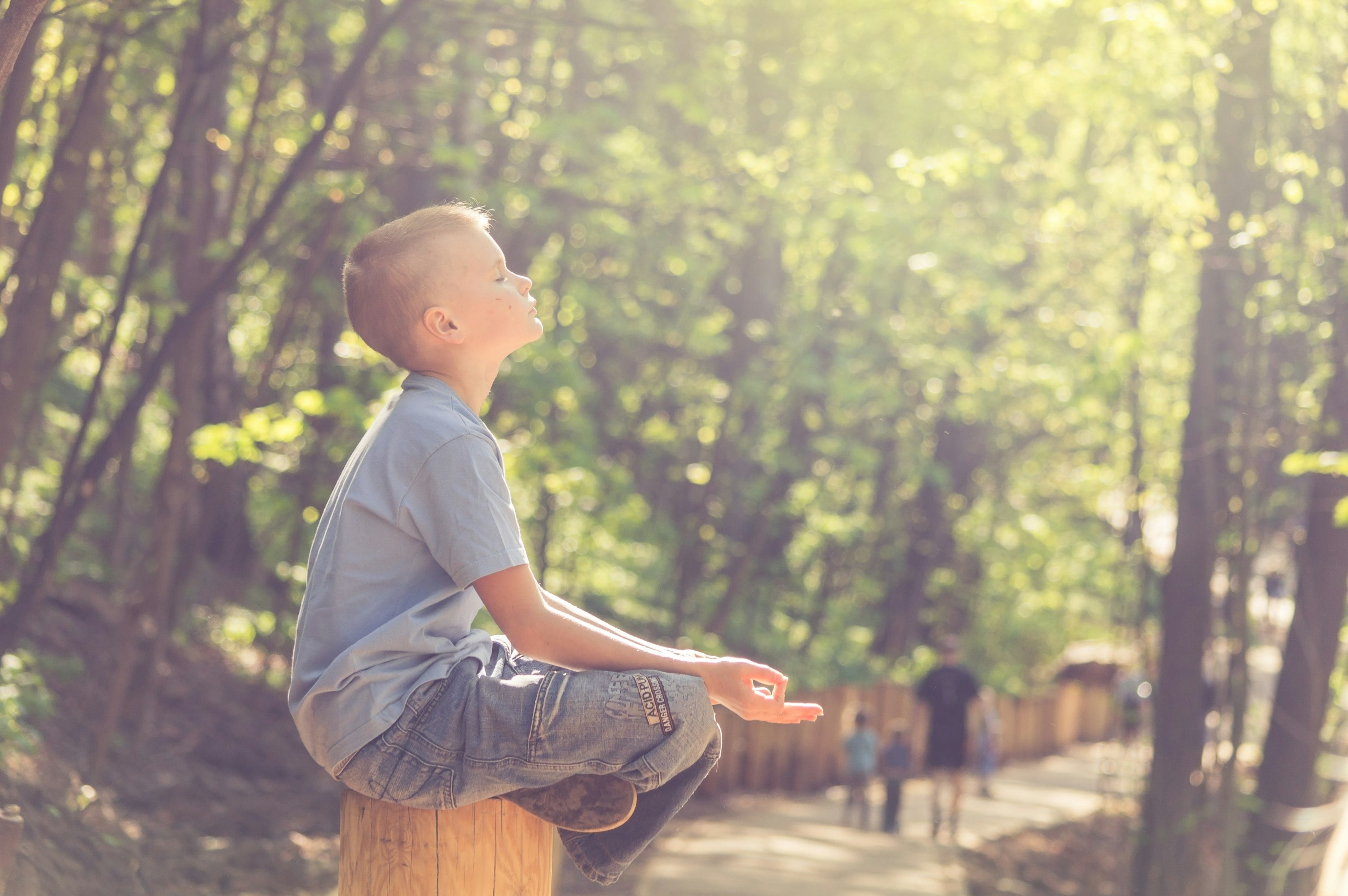 Young boy sitting on a wooden stump in a forest, meditating with eyes closed, surrounded by lush greenery and sunlight.