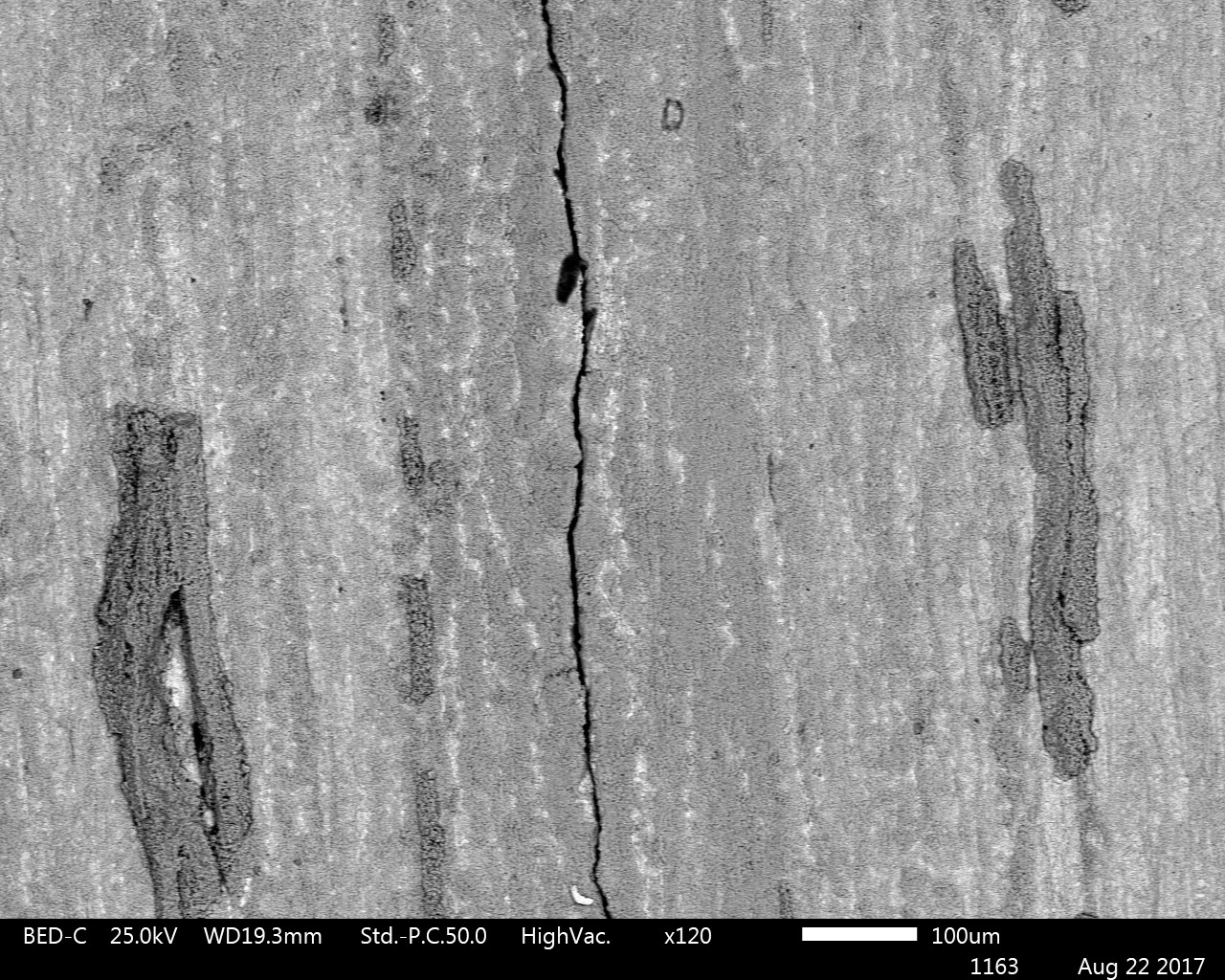 Backscatter image showing a crack and surface scale