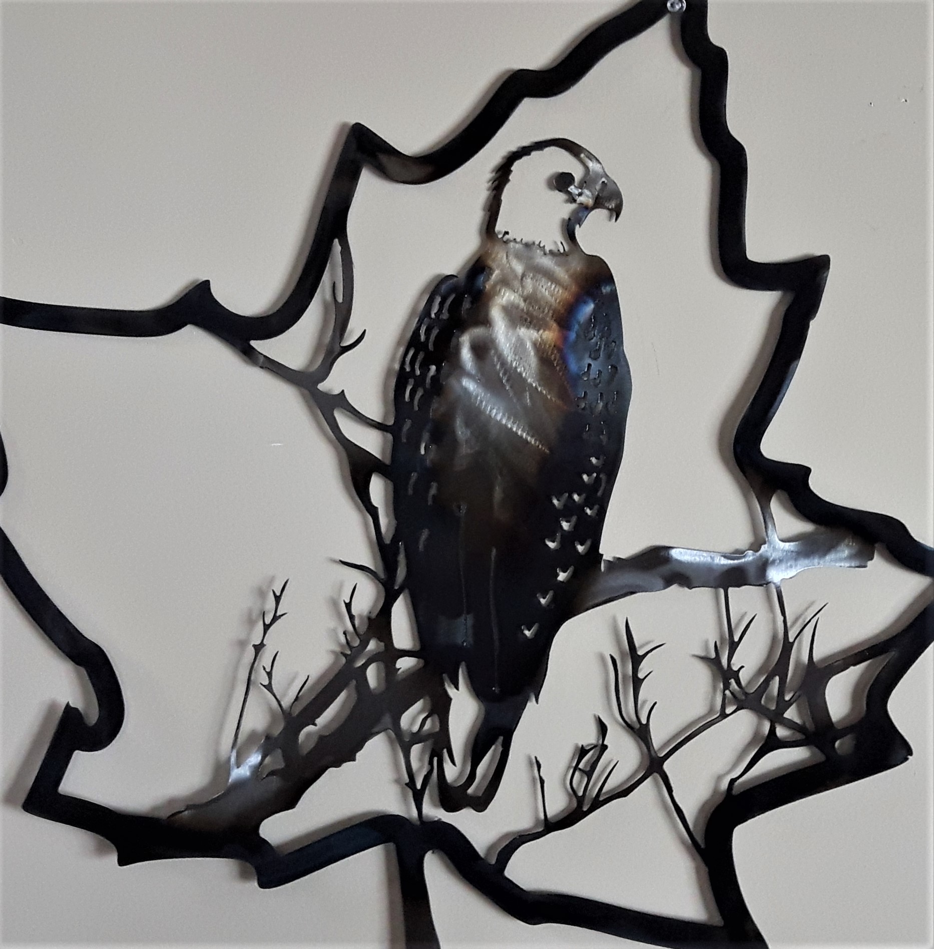 Metal art ,Eagle in maple leaf , Campbell river BC, Vancouver island BC, Vancouver BC, Victoria BC, British Columbia,Alberta