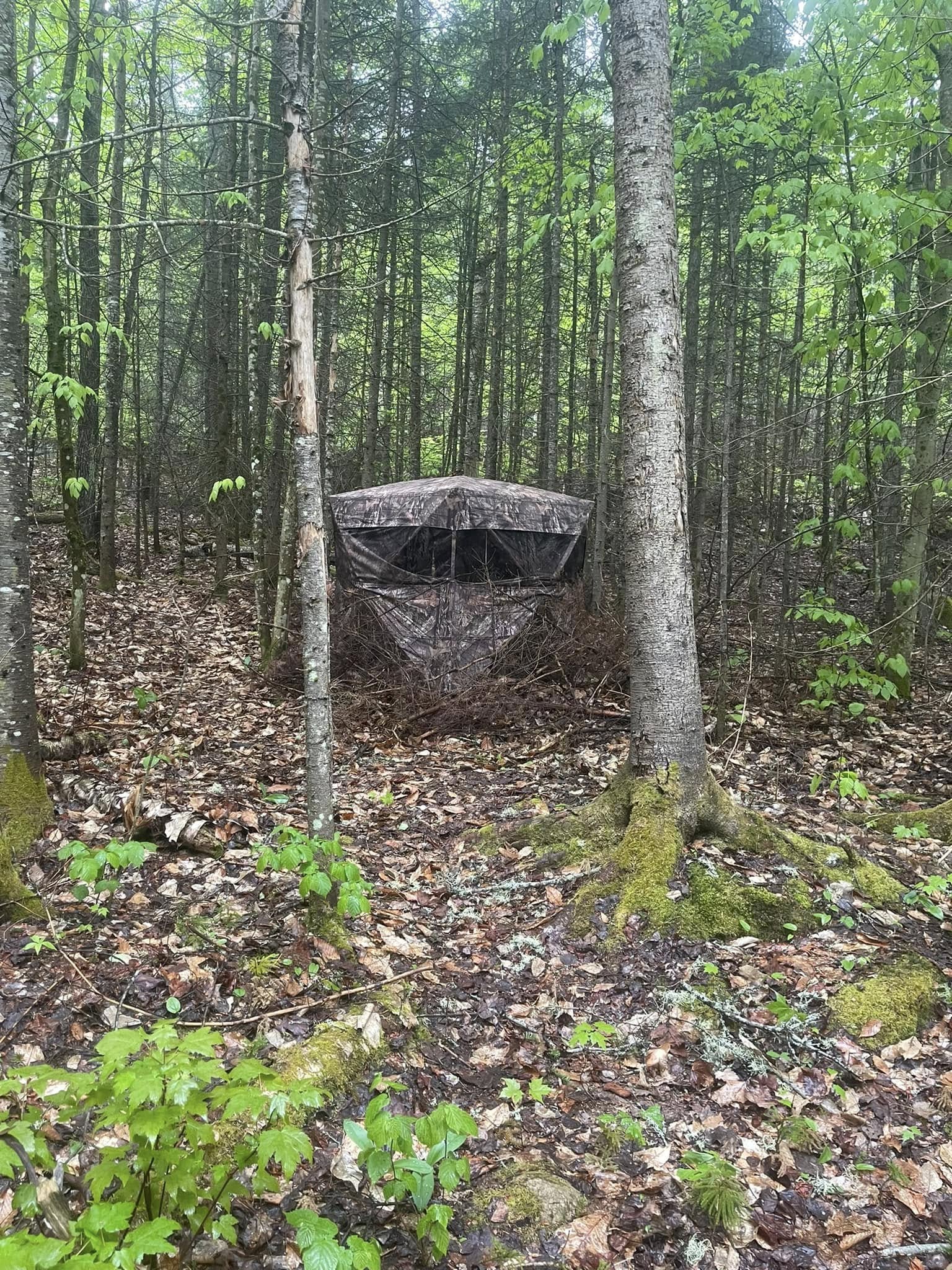 https://0901.nccdn.net/4_2/000/000/008/9bd/wild-north-outfitters-hunting-camp-blinds-madawaska-ontario-.jpg