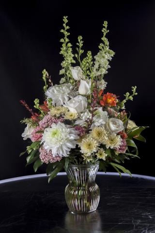 Sympathy-270
Shown: $115.00
778-421-2660
