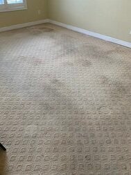 before cleaning