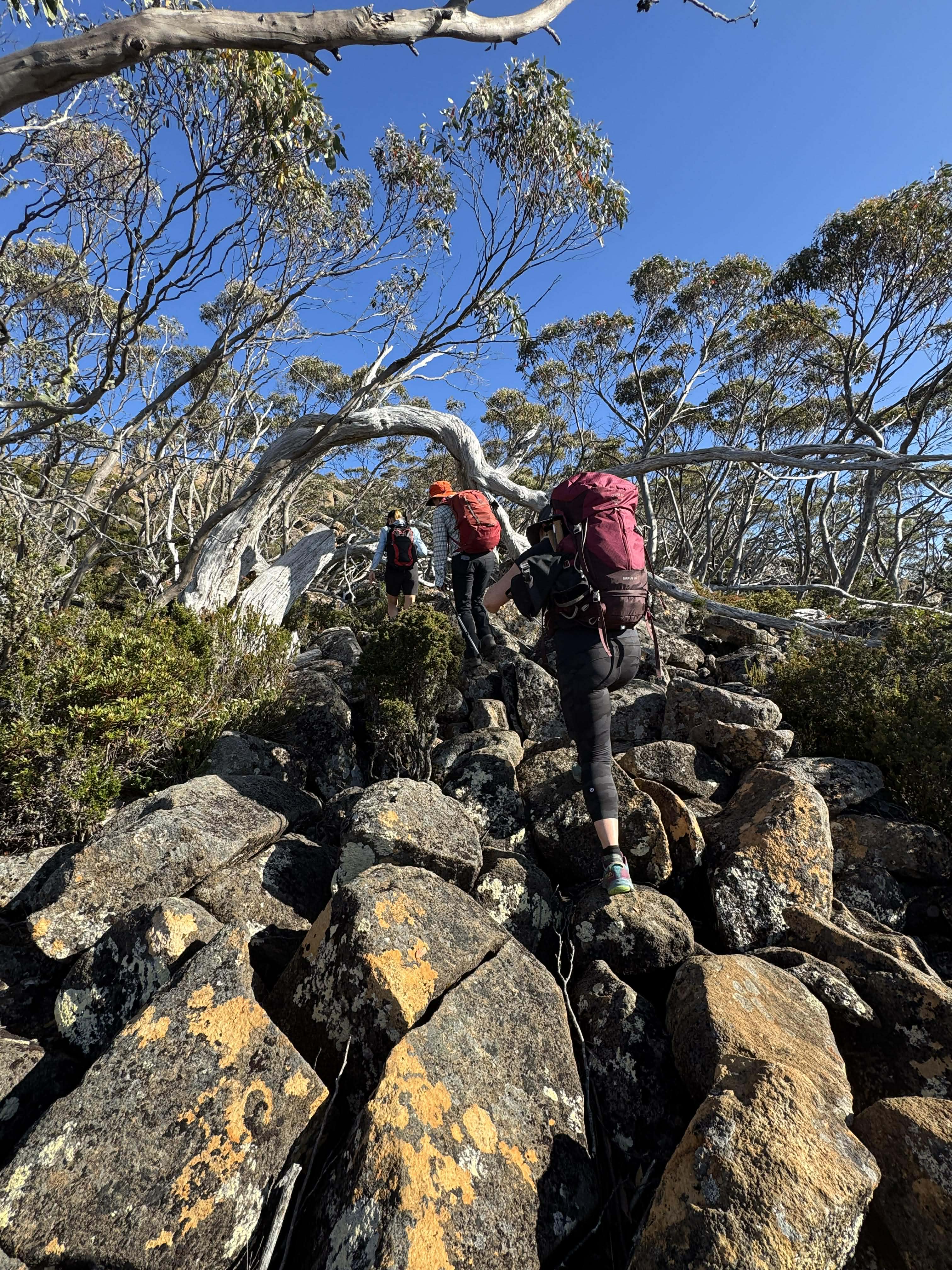 Just Trekking
Kunanyi