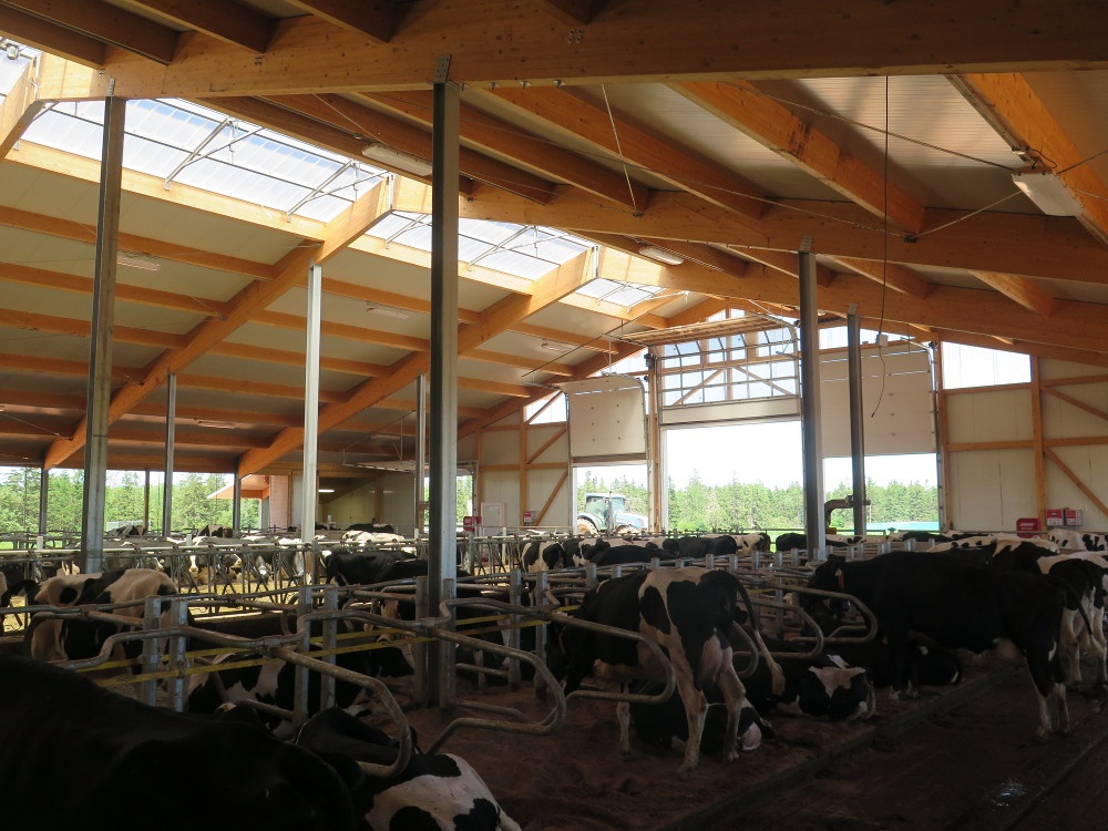 2016 PEI - Robot dairy barn