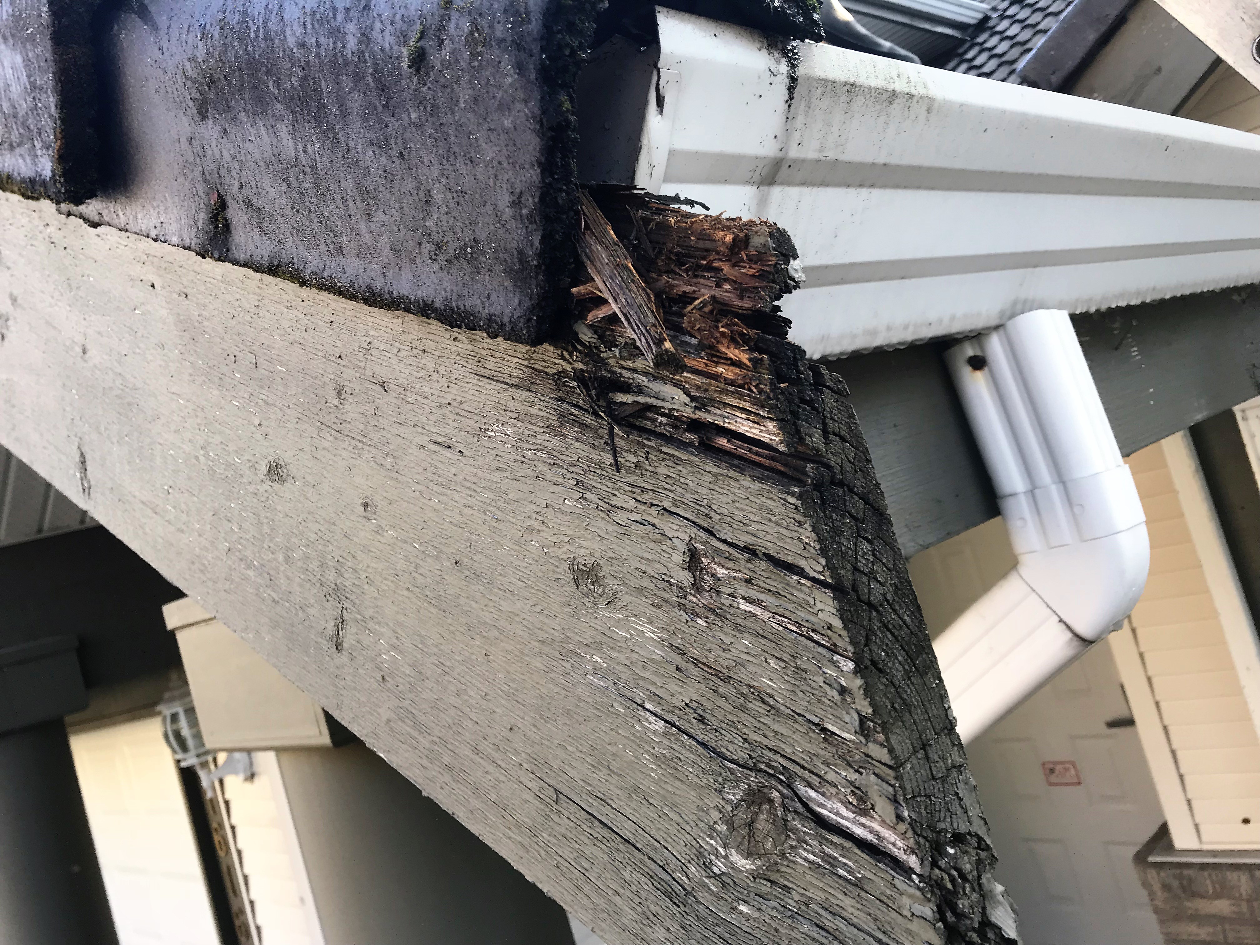 Wood rot from water over flow