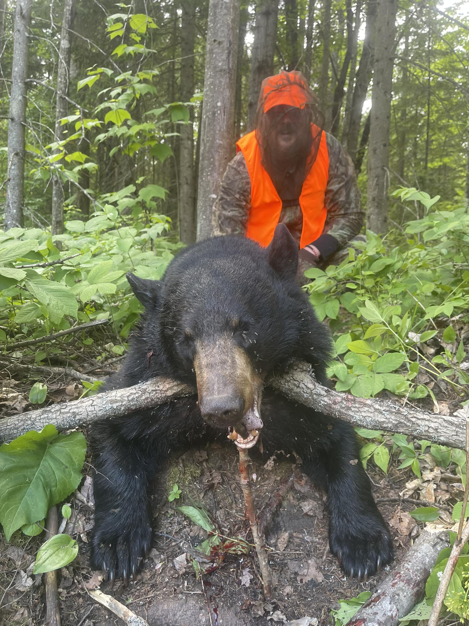 https://0901.nccdn.net/4_2/000/000/00d/f43/2024-ryan-black-bear-harvest-madawaska.jpg