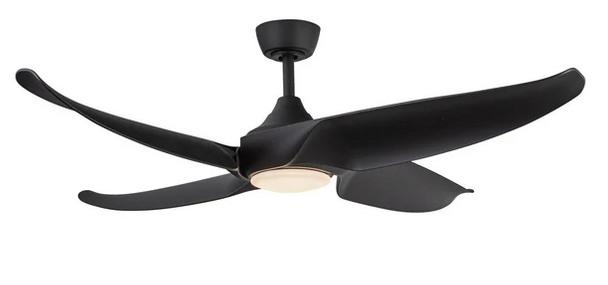 119 CF90955MB
Regular $1124.99
Blowout $699.99 no tax