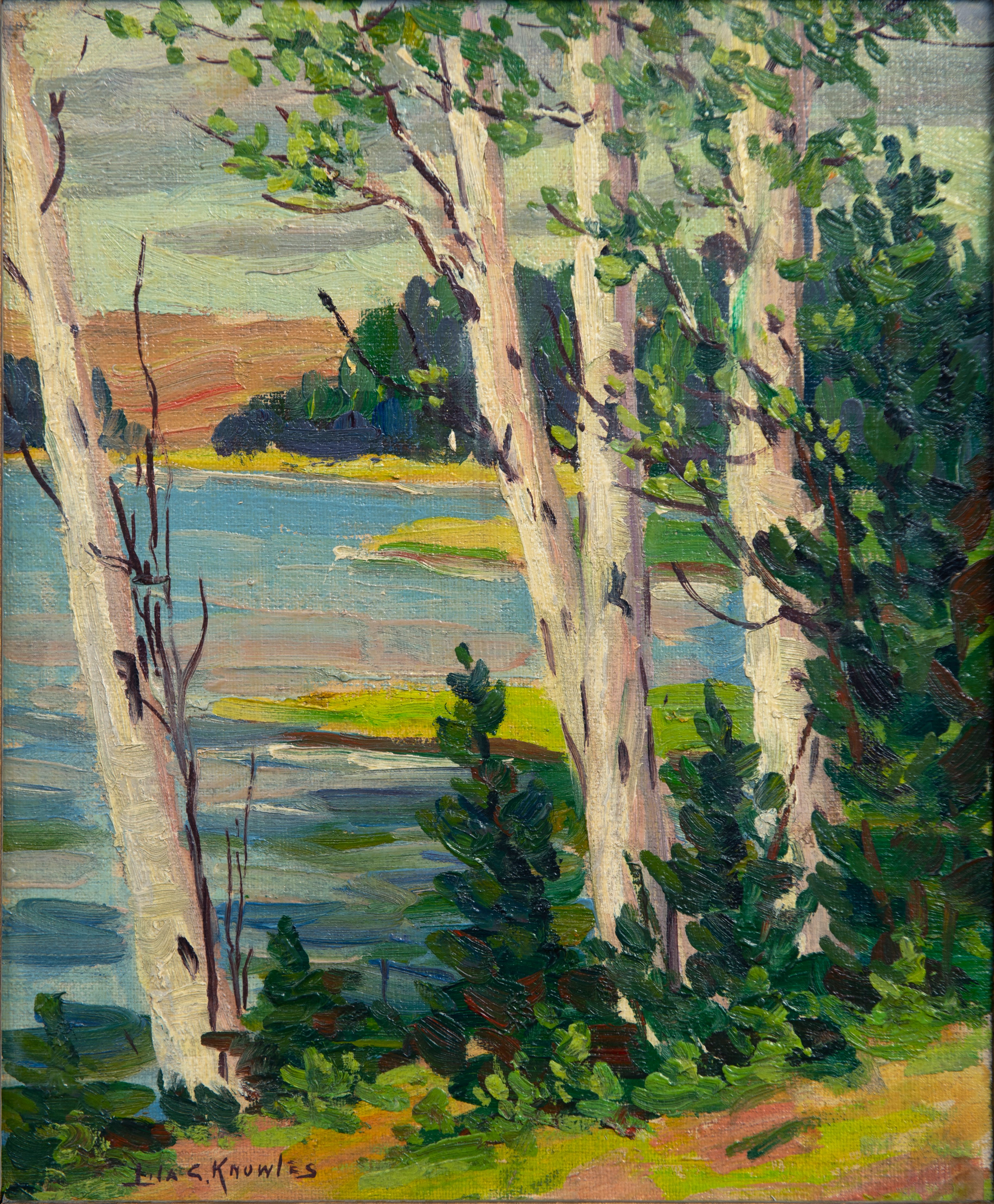 Hiawatha Trail (Entrance) going to Athletic Park (Free standing)
Artist: Lila Caroline Mc Gillivray Knowles, Birches, c.1950, Oil on canvas
ST. THOMAS-ELGIN PUBLIC ART CENTRE-PERMANENT COLLECTION
“THE ESTATE OF DONNA VERA EVANS BUSHELL AND THE ELGIN-ST. THOMAS COMMUNITY FOUNDATION”