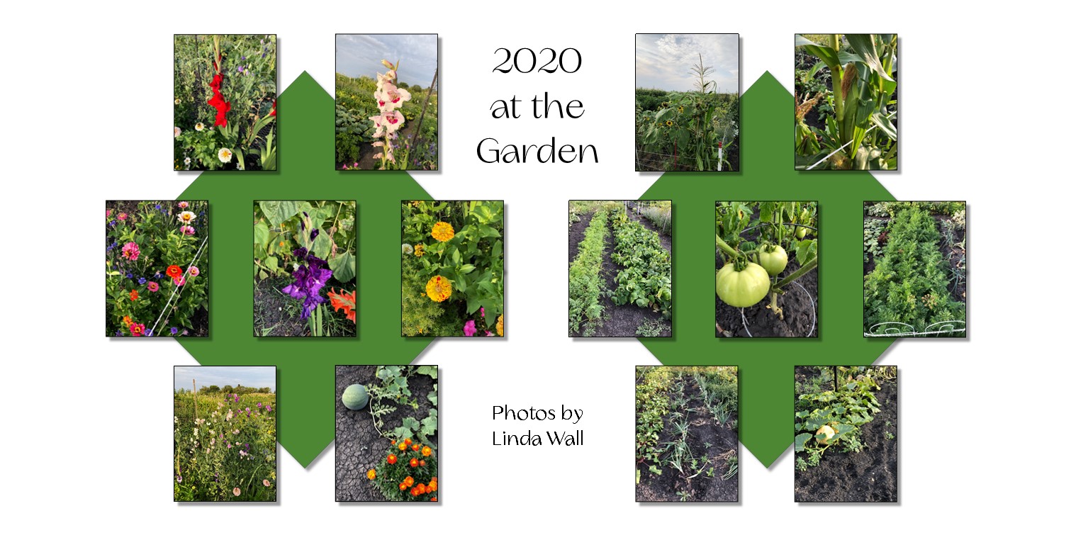https://0901.nccdn.net/4_2/000/000/00d/f43/garden6.jpg