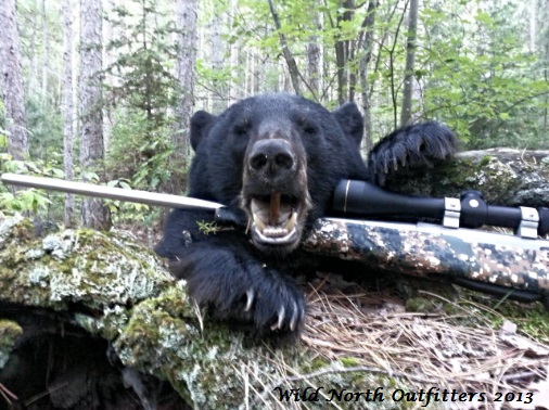 https://0901.nccdn.net/4_2/000/000/00d/f43/guided-bear-hunt-ontario-2013.jpg