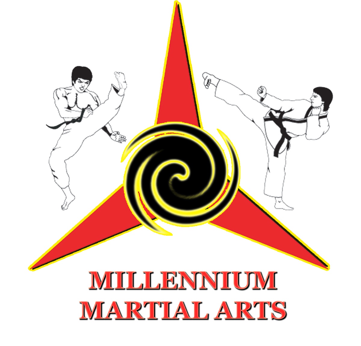 Millennium Of Martial Arts in Vaughan