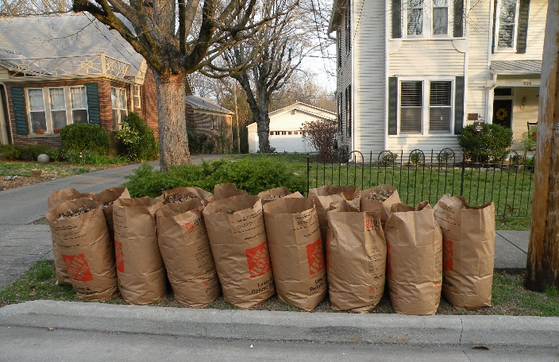 Paper Yard Waste Bags at the Curb for Collection
