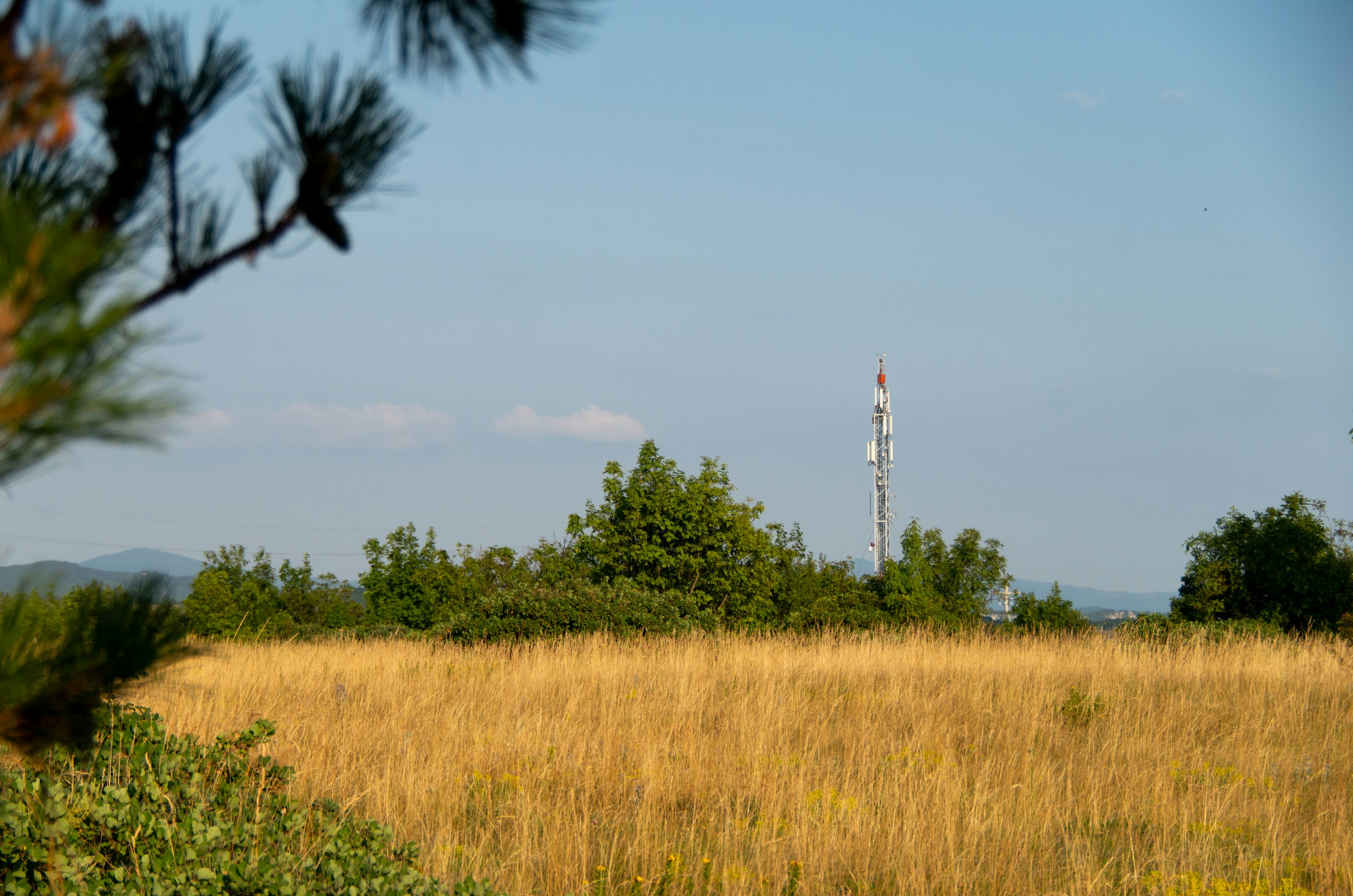 a field with a radio tower in the distance