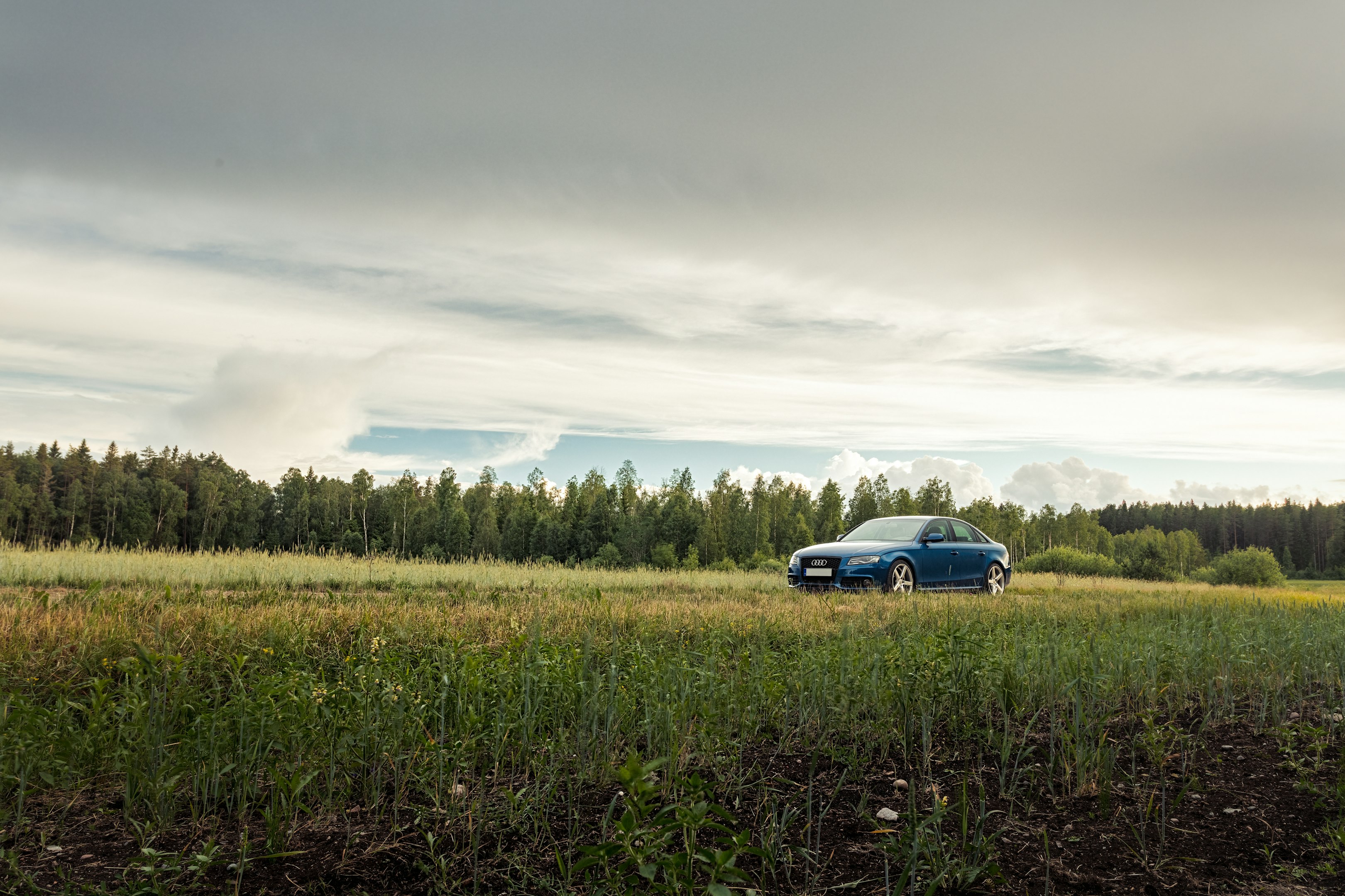 blue car on green grass field under white clouds during daytime