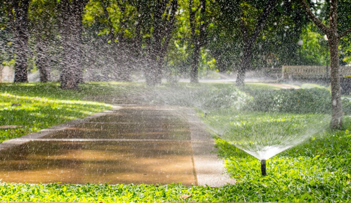 (##AI##(Background.image1.alt)##AI##)