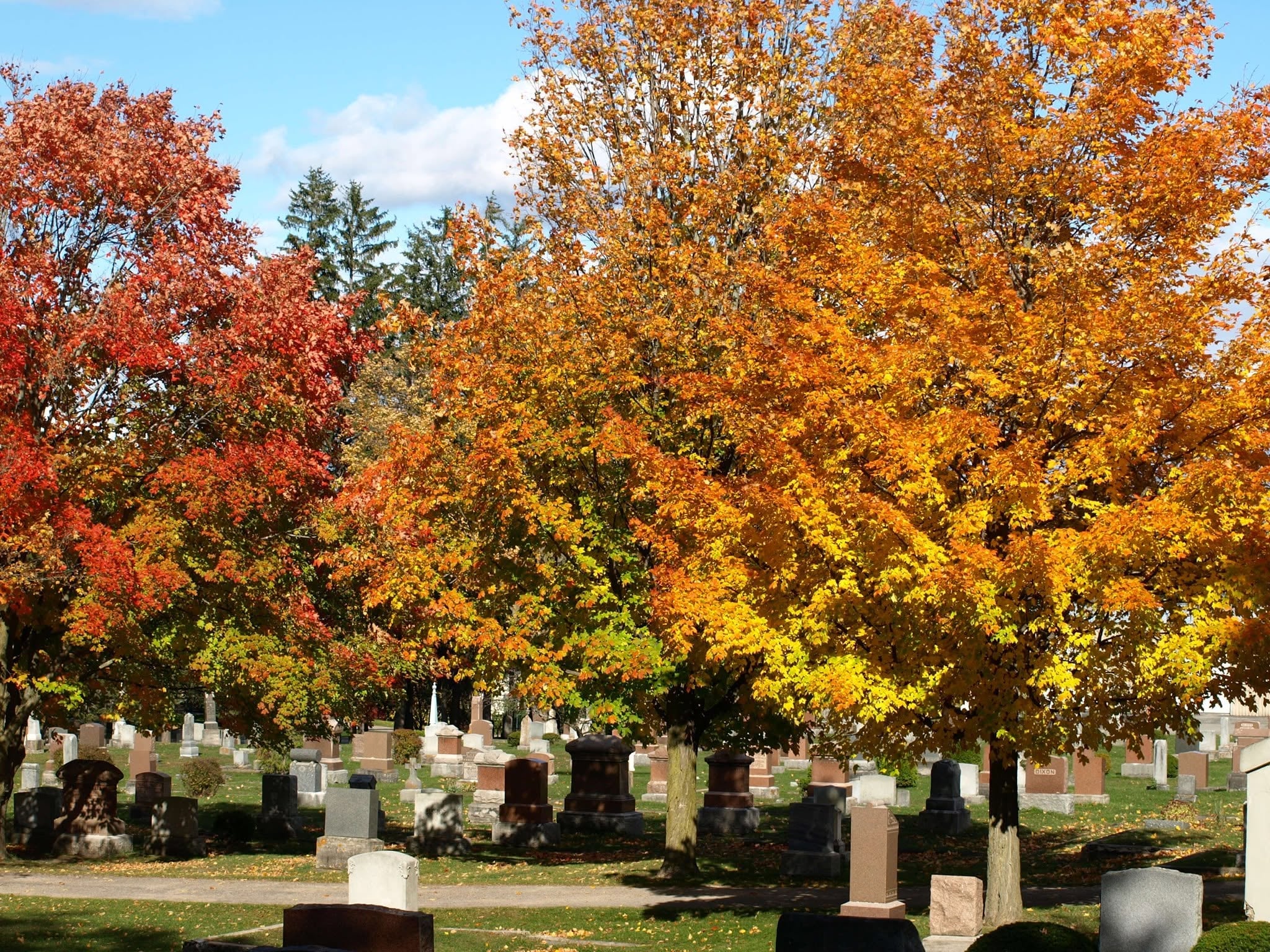 Autumn cemetery with colorful red and golden trees and gravestones under a blue sky