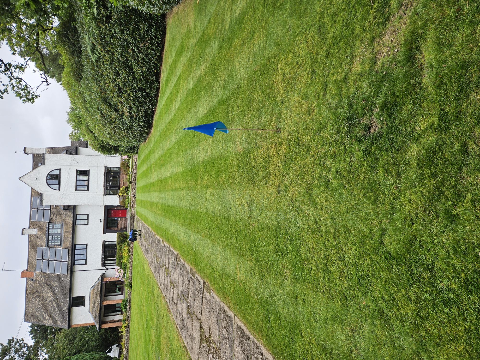 a box filled with lots of wrenches and other tools