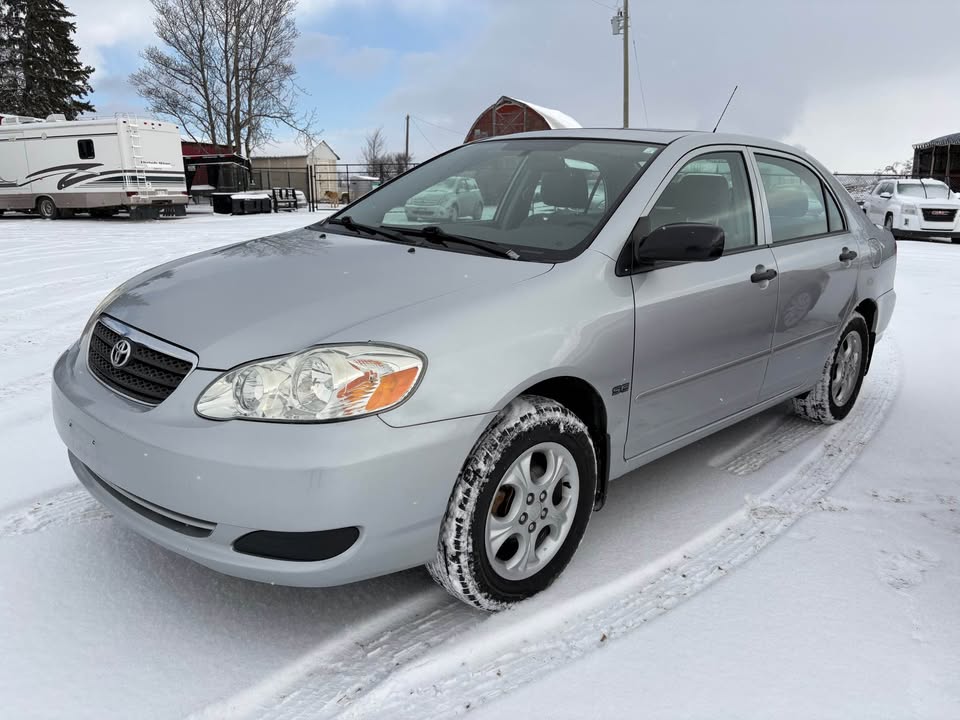 black Shelby car on road