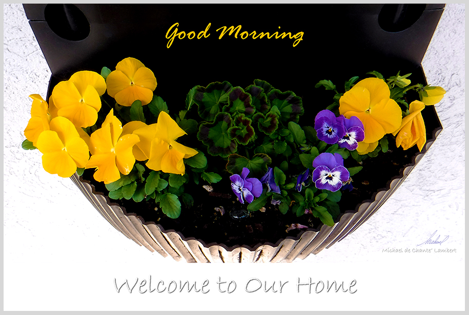 Floral Photography: Home/Biz. (24x16) SF
Coos Bay, Oregon (text is changeable)
<< Good Morning >>