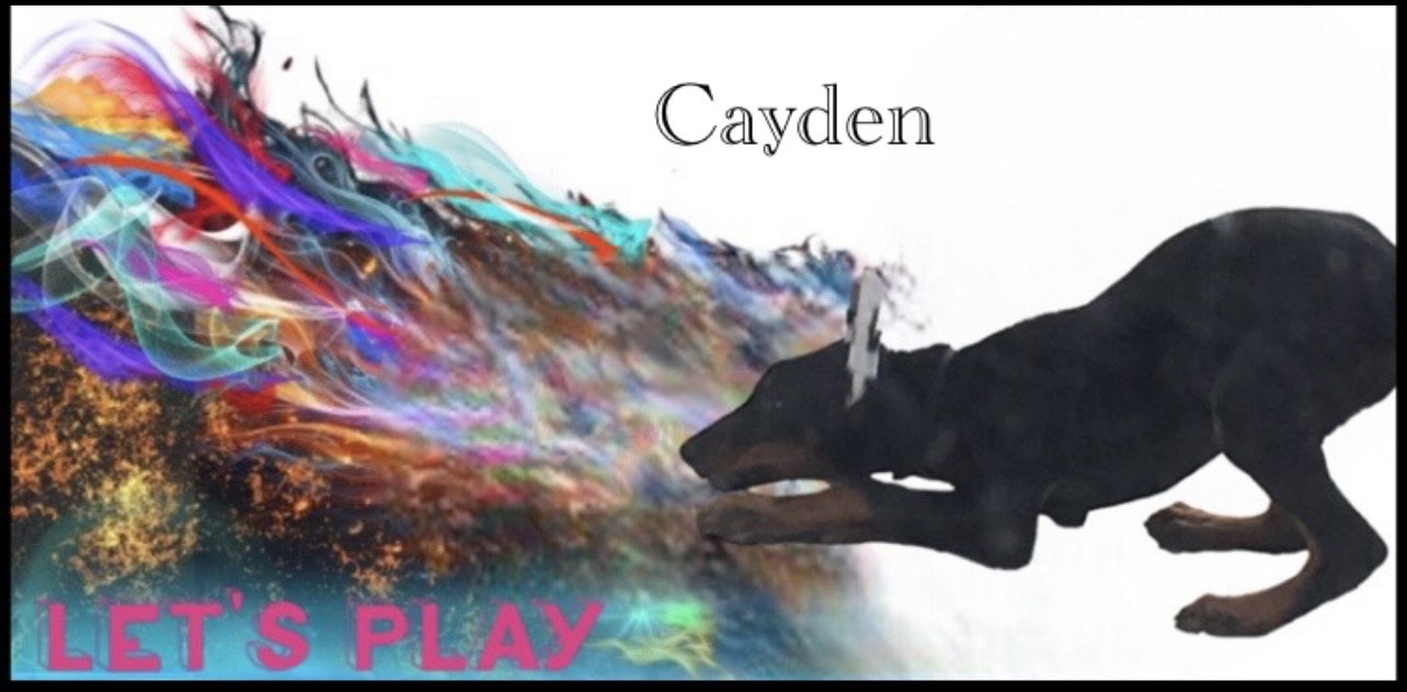 Cayden puppy playing 