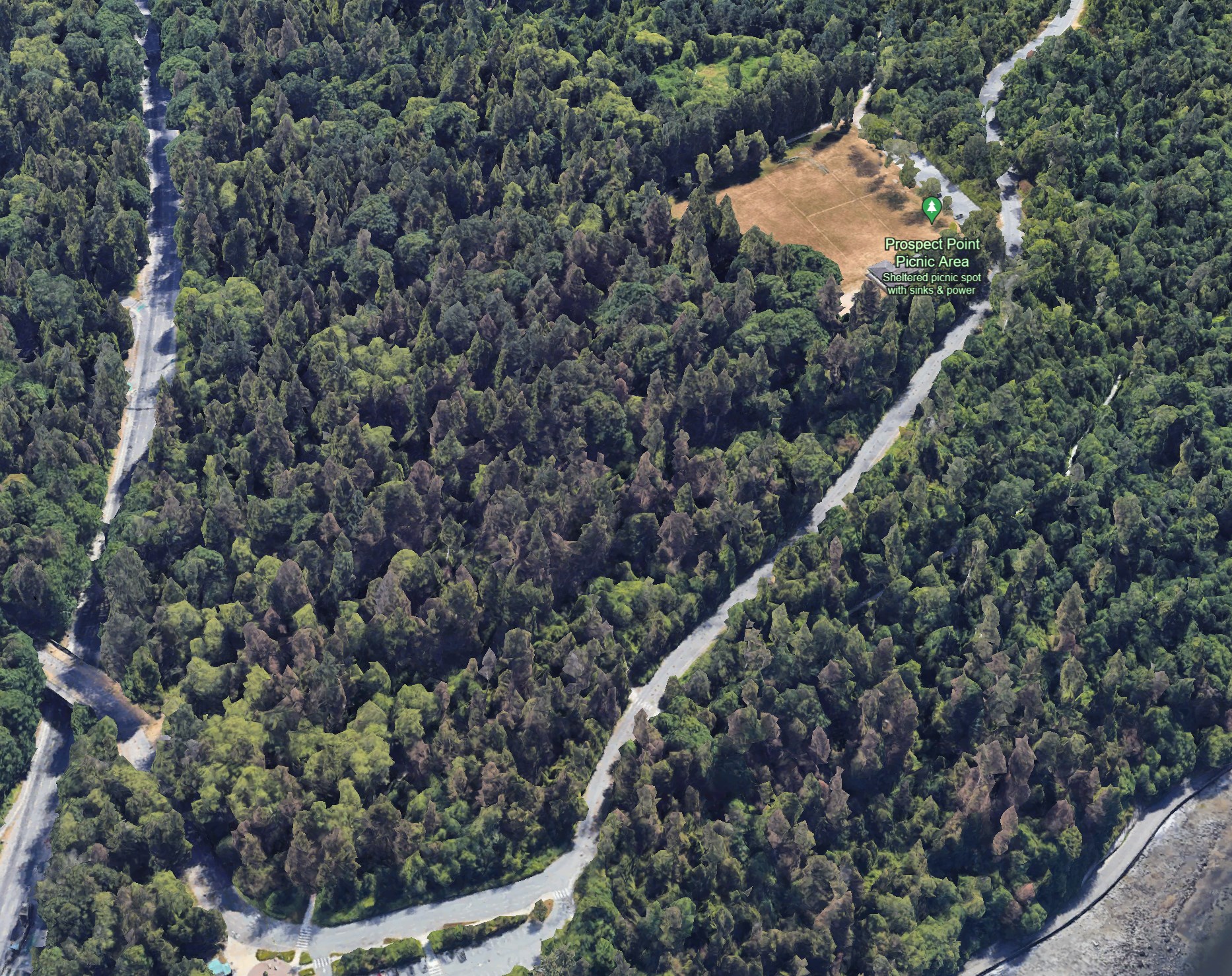 Scenic landscape with modern house, winding path, trees, lake, and mountains under a blue sky with clouds.