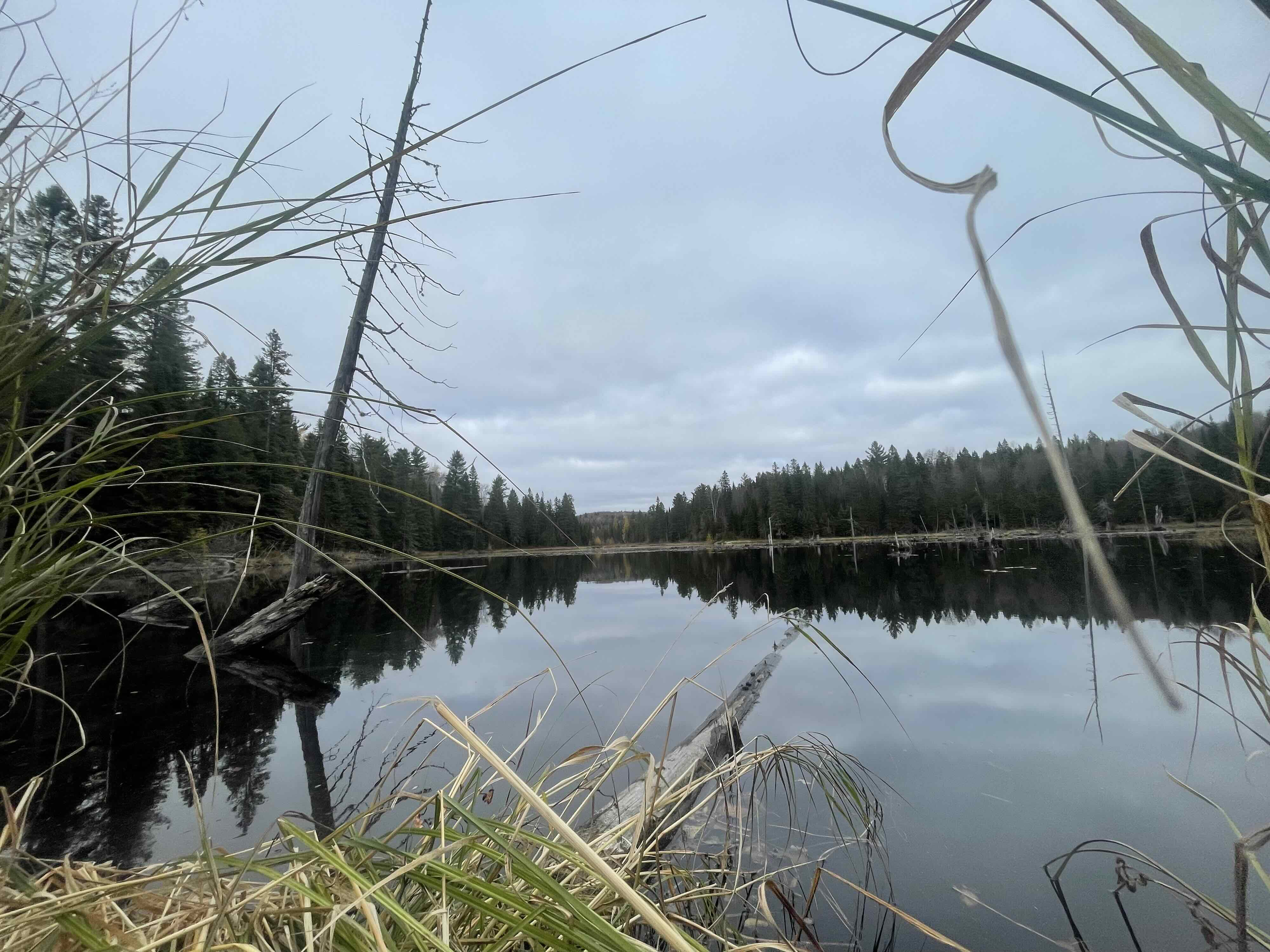 https://0901.nccdn.net/4_2/000/000/010/19b/2025-guided-moose-hunting-ontario-water-2-copy.jpg