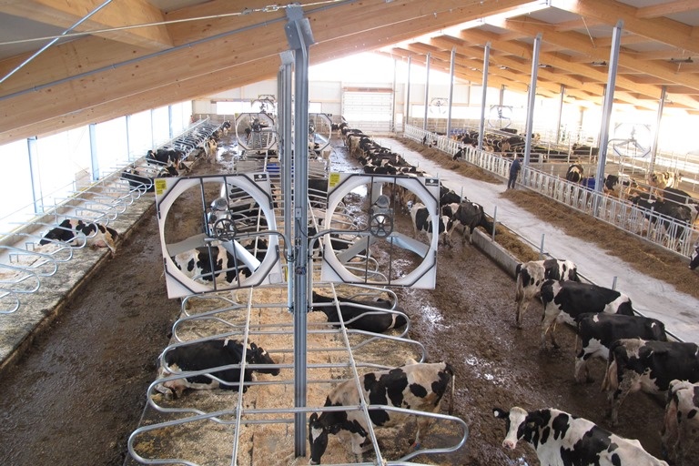2014 Cobden - Dairy barn