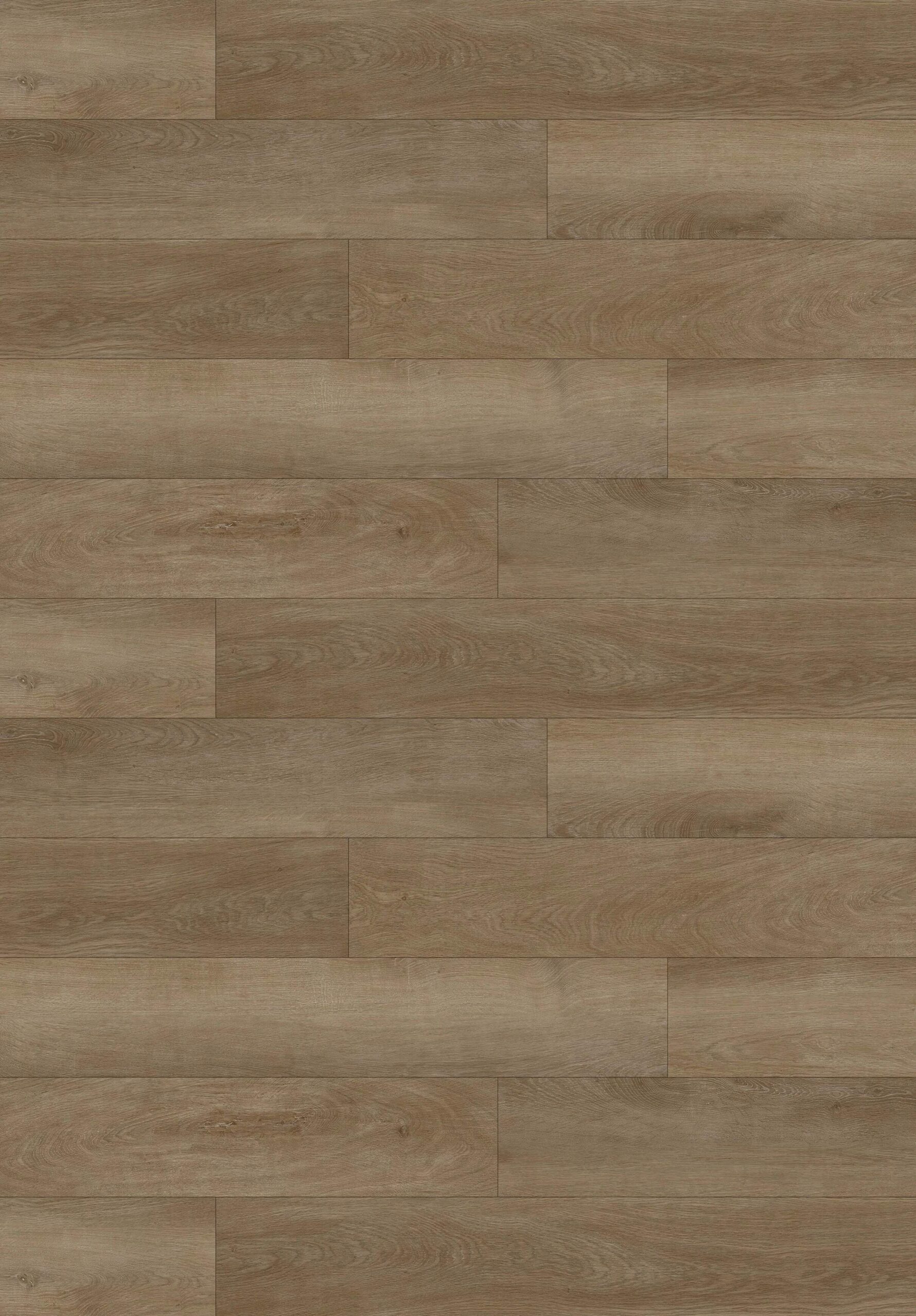 Axis 2.5 Appalachian