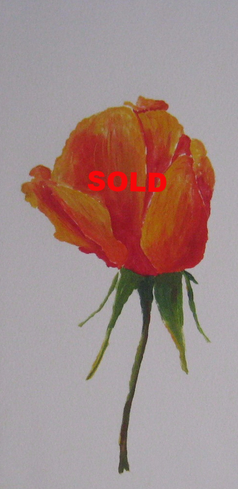 Rose Bud, monotype
SOLD